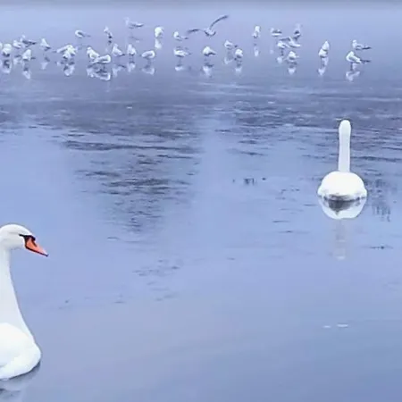 Accomondation Dreizimmerwohnung 아파트호텔 *